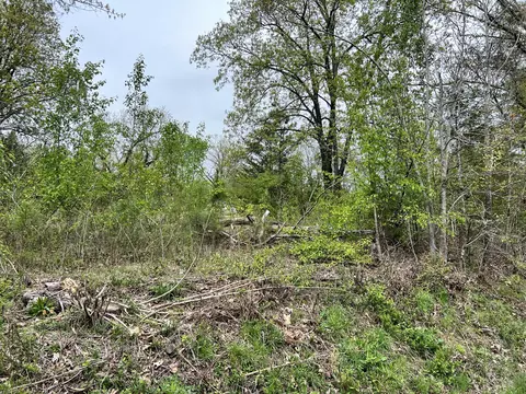 319 Jewell Ln, Rossville, GA 30741