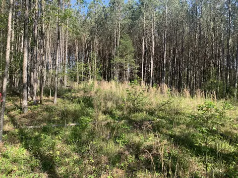 0 Loughridge Ln, Lafayette, GA 30728