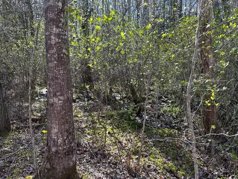 350 Windstone Dr, Sequatchie, TN 37374 photo 11