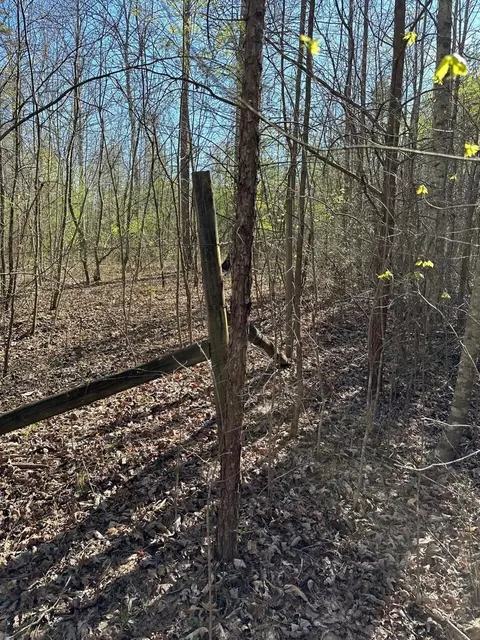 350 Windstone Dr, Sequatchie, TN 37374 photo 6