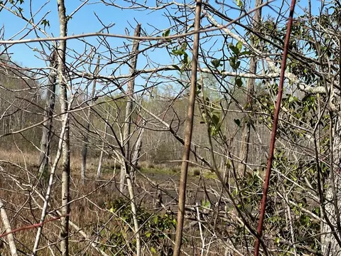 350 Windstone Dr, Sequatchie, TN 37374 photo 10