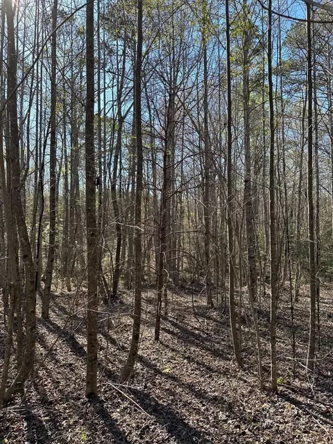 350 Windstone Dr, Sequatchie, TN 37374 photo 7