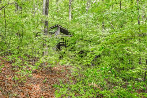 411 Guinn Rd, Dalton, GA 30721 photo 48