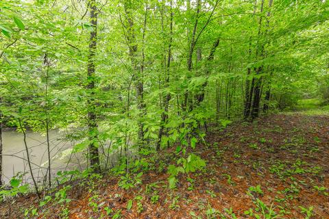 411 Guinn Rd, Dalton, GA 30721 photo 35