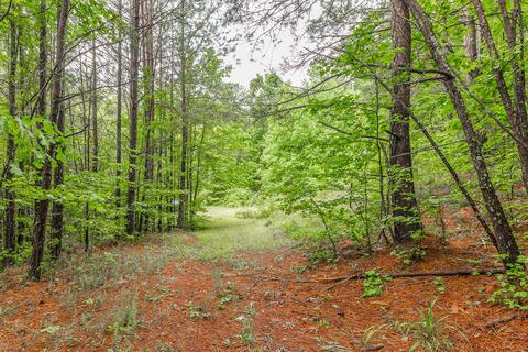 411 Guinn Rd, Dalton, GA 30721 photo 47