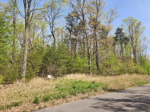 0 Gray Rock #101, Pikeville, TN 37367