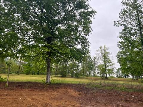27 Greenview Dr, Dunlap, TN 37327 photo 23