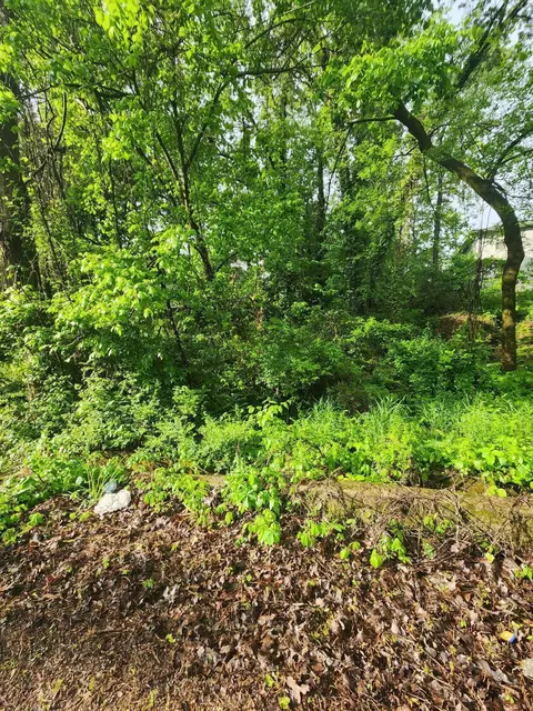 0 Caldonia St #17, Rossville, TN 30741