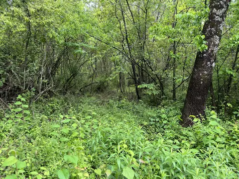 lot42 Black Oak Ests, Dayton, TN 37321