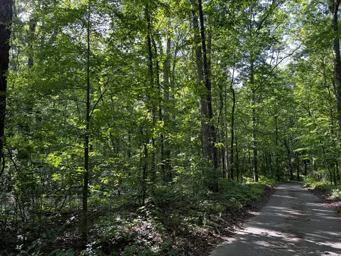 0 Autumn Dr, Chatsworth, GA 30705