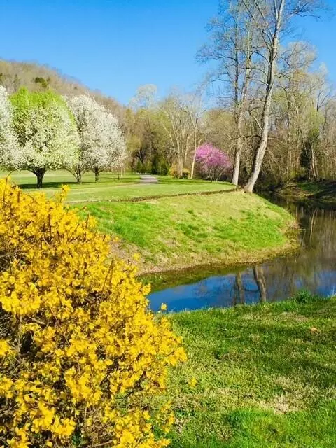4275 Valley View Hwy, Sequatchie, TN 37374 photo 9