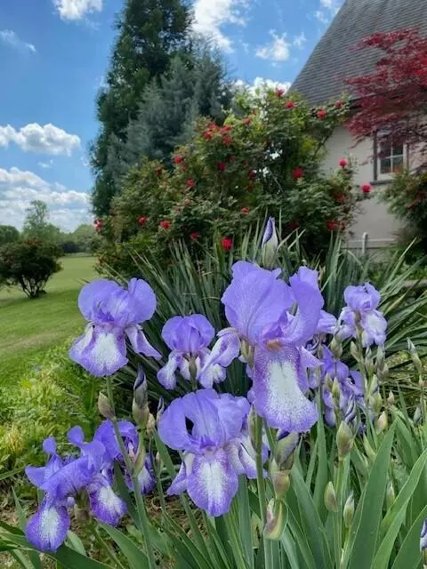 4275 Valley View Hwy, Sequatchie, TN 37374 photo 88