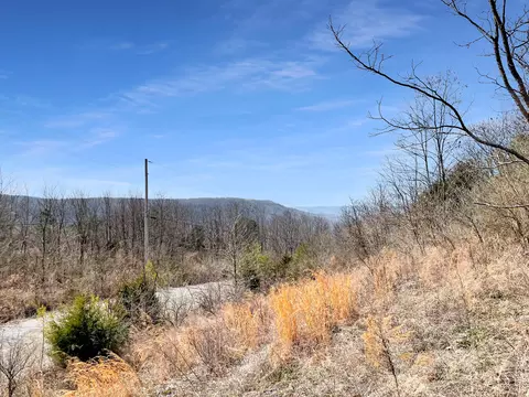 0 Teludachee Trl #166, South Pittsburg, TN 37380