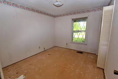 8816 County Road 19, Section, AL 35771 photo 13