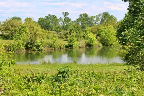 8816 County Road 19, Section, AL 35771 photo 4