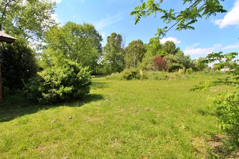 8816 County Road 19, Section, AL 35771 photo 21