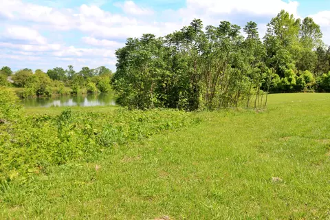8816 County Road 19, Section, AL 35771 photo 23