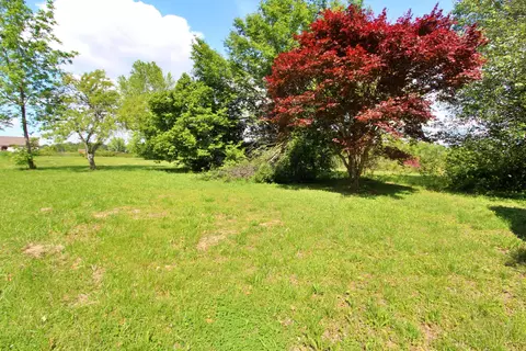 8816 County Road 19, Section, AL 35771 photo 2