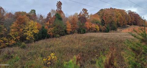 36 59 Ac River Rd, Decatur, TN 37322