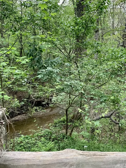 lot191 Long Branch Rd, Spencer, TN 38585
