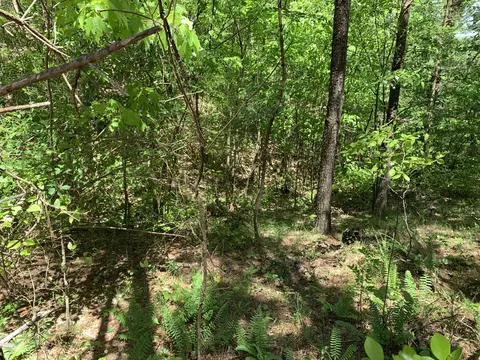 215 Back Basin Tr #1241, Guild, TN 37340 photo 3