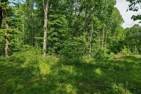 0 Buck Dr, Dunlap, TN 37372 photo 22