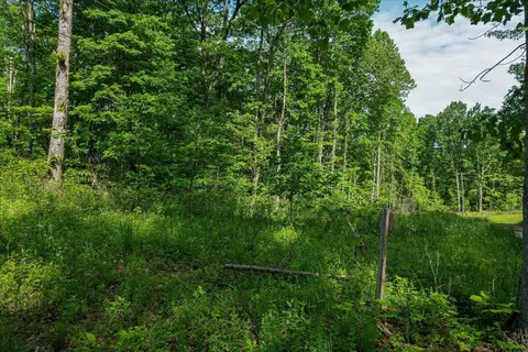 0 Buck Dr, Dunlap, TN 37372 photo 20