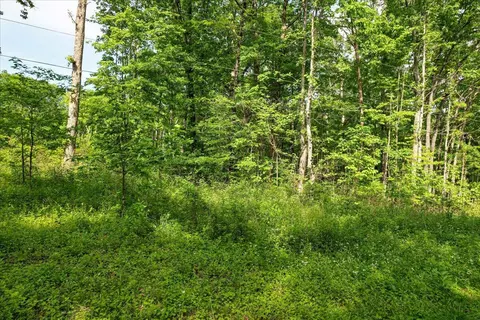 0 Buck Dr, Dunlap, TN 37372 photo 19