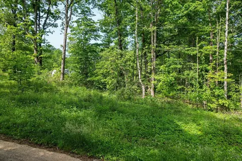 0 Buck Dr, Dunlap, TN 37372 photo 4