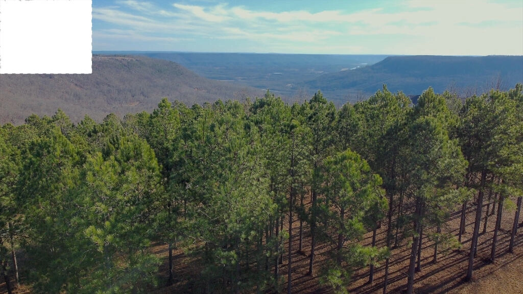 1184 Sunset Circle Unit SV 104  