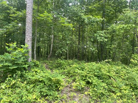 Lot 144 Bretton Dr, Soddy Daisy, TN 37379
