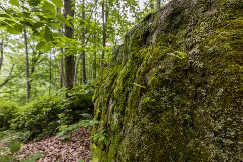 0 Bridal Veil #9, Monteagle, TN 37356