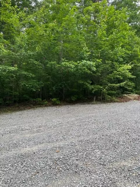 0 Eagle Bluff Rd, Cloudland, GA 30731 photo 9