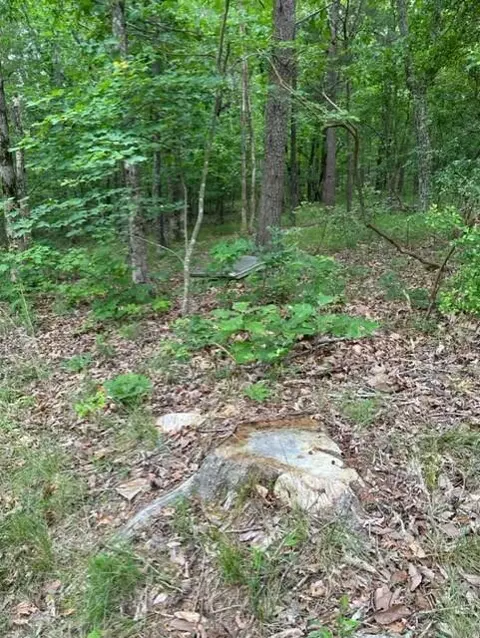 0 Eagle Bluff Rd, Cloudland, GA 30731 photo 8