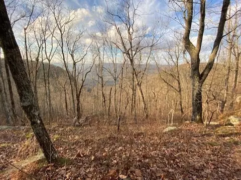 0 Eagle Bluff Rd, Cloudland, GA 30731 photo 3