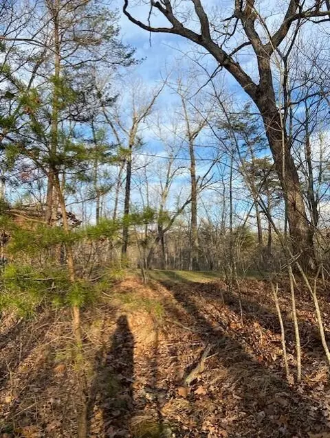 0 Eagle Bluff Rd, Cloudland, GA 30731 photo 4