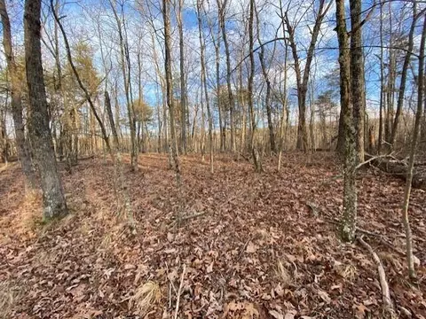 0 Eagle Bluff Rd, Cloudland, GA 30731 photo 7