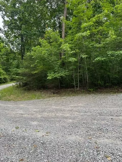 0 Eagle Bluff Rd, Cloudland, GA 30731 photo 10