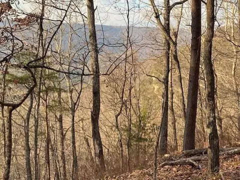 0 Eagle Bluff Rd, Cloudland, GA 30731 photo 6