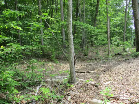 0 Mcneices Rd #293, Pikeville, TN 37367