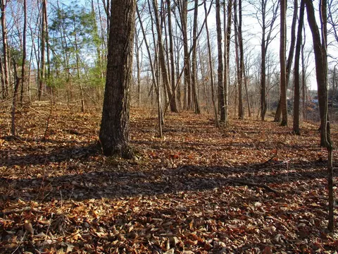 0 Red Oak Ln #96/97, Spring City, TN 37381