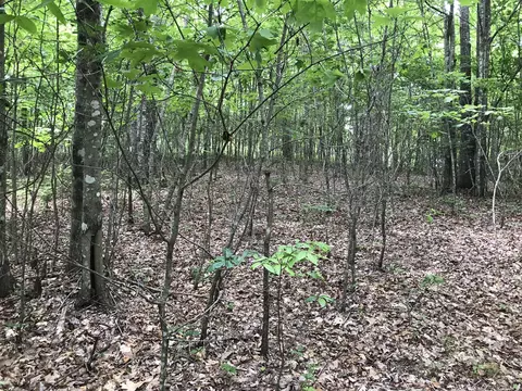 0 Wilderness Way #510, Dunlap, TN 37327