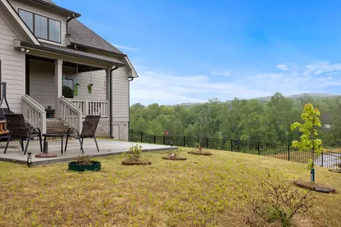 10625 Brownspring Dr, Apison, TN 37302 photo 39