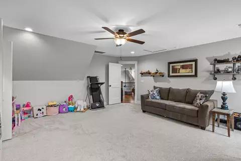 10625 Brownspring Dr, Apison, TN 37302 photo 34
