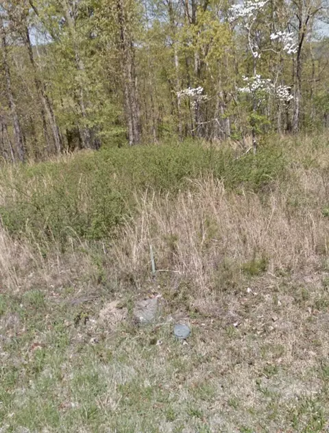 11212 Fritts Rd, Soddy Daisy, TN 37379