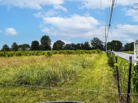 0 Tarr Rd, Talbott, TN 37877 photo 9