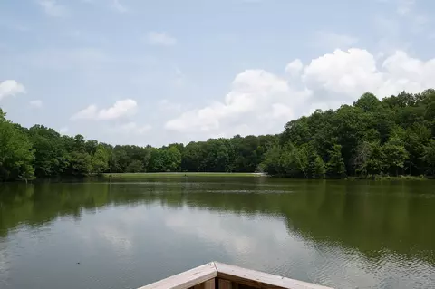 895 Lake Loop Rd, Cloudland, GA 30731 photo 4