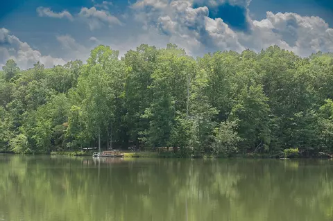 895 Lake Loop Rd, Cloudland, GA 30731 photo 3