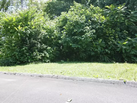 lot94 Saluda St, Chattanooga, TN 37406