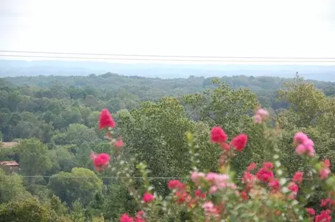 0 Cloudcrest Dr, Rossville, GA 30741
